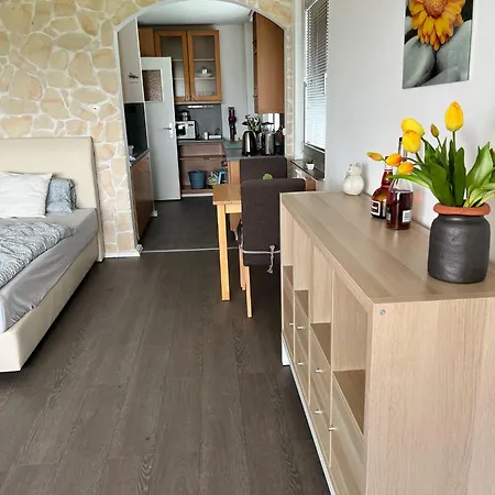 Wohnung In Koeln Mit Rheinblick *